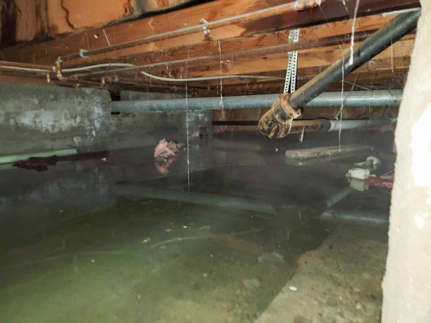 Best 24-hour water damage restoration  in Springfield, OR