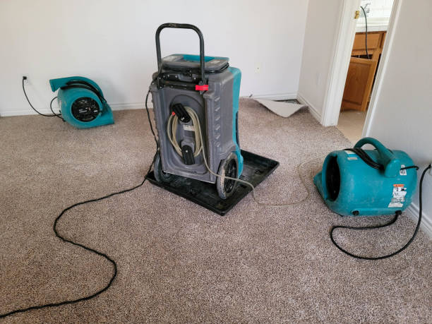 Professional Water damage restoration in Springfield, OR