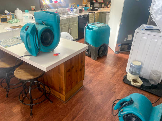 Trusted Springfield, OR Water damage restoration Experts
