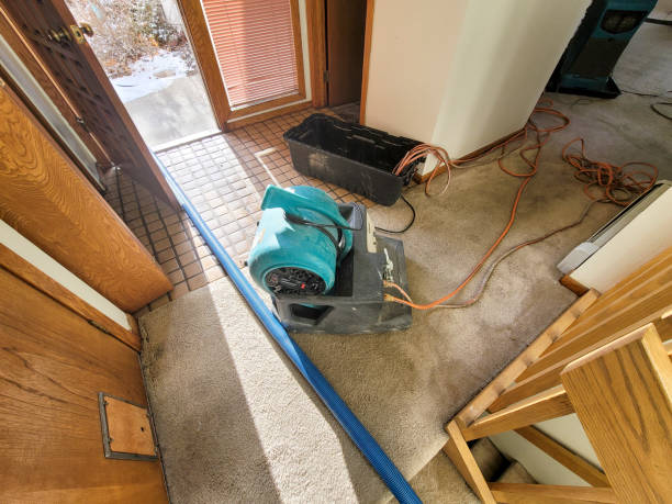 Trusted Springfield, OR Water damage restoration Experts