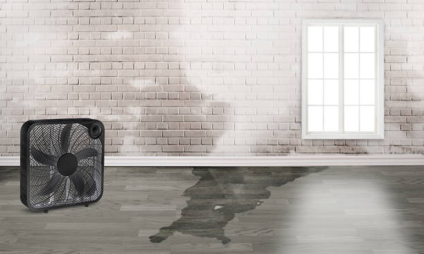Water damage restoration mold remediation in Springfield, OR