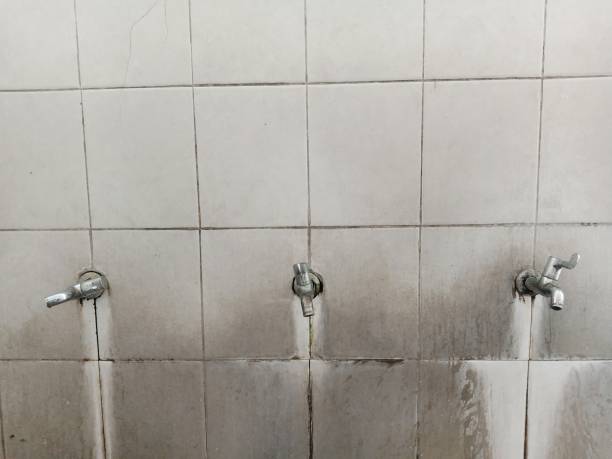 Best Fire Damage Restoration  in Springfield, OR